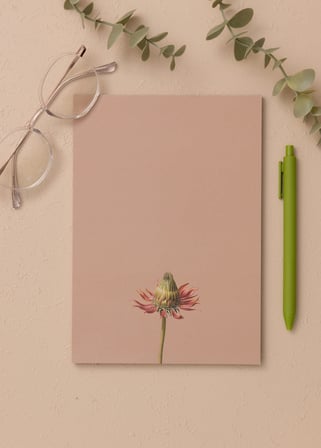 The Mia Art Line Mini Notluk Coneflower 15X21 Cm 40 Yaprak