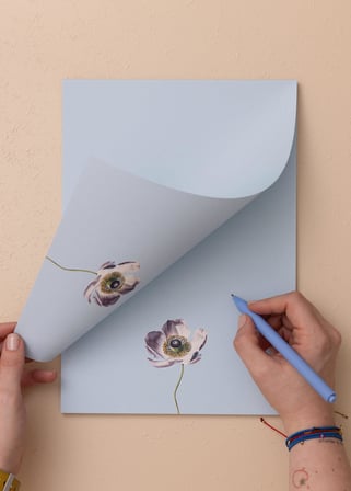 The Mia Art Line Mini Notluk Anemone 21X30 Cm 40 Yaprak