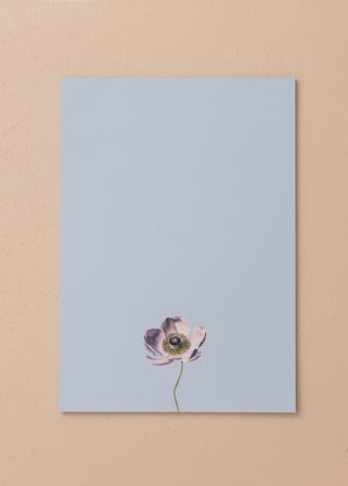 The Mia Art Line Mini Notluk Anemone 21X30 Cm 40 Yaprak