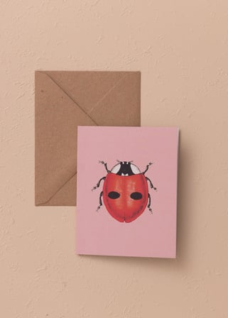 The Mia Art Line Mini Tebrik Kart Seti Belladonna 9X12 Cm