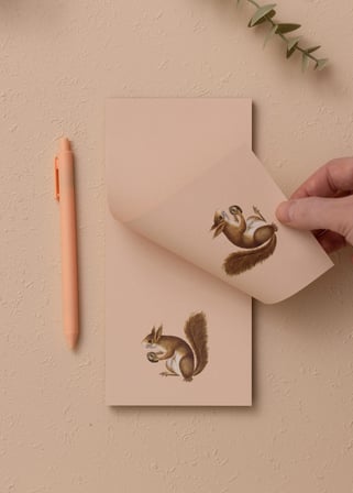 The Mia Art Line Mini Notluk Squirrel 10 X 21 Cm 40 Yaprak