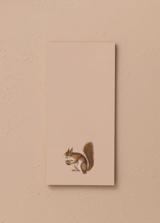 The Mia Art Line Mini Notluk Squirrel 10 X 21 Cm 40 Yaprak