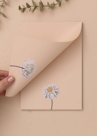 The Mia Art Line Mini Notluk Dahlia 15 X 21 Cm 40 Yaprak