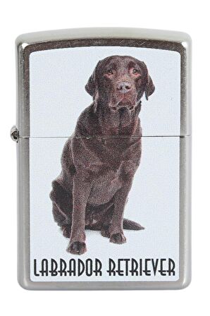 Zippo Çakmak Labrador Retriever