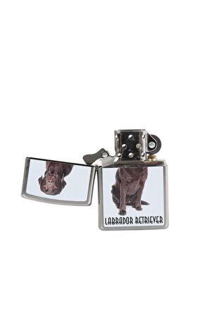 Zippo Çakmak Labrador Retriever