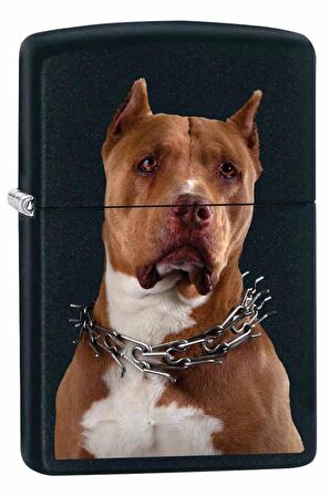 Zippo Çakmak Pit Bull with Collar - Black Matte 79845