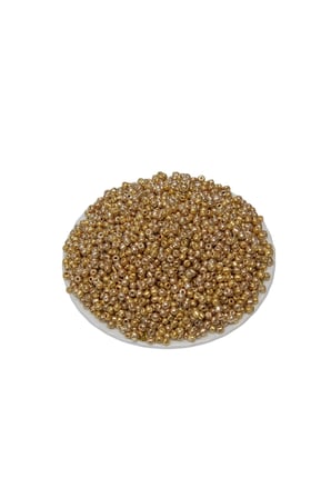 100 Gr Kaplama Altın 06 Numara Hobi Boncuğu