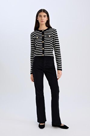 DeFacto Regular Fit Bisiklet Yaka Çizgili Düğmeli Triko Hırka D3307AX24WNBK27