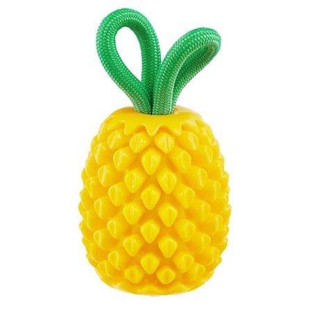 Nina Ottosson Dental Pineapple Köpek Çiğneme Oyuncağı - Ananas