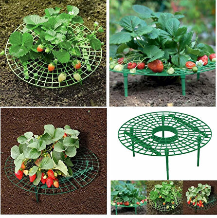 YATE10 Plastik Çilek Geliştirme Standı