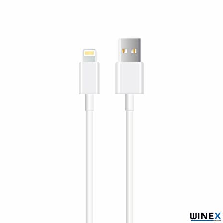 Winex İphone 14 3A 45W UsbA to Lightning 3Metre Data ve Hızlı Şarj Kablosu