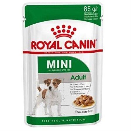 Royal Canin Biftekli Büyük Irk Yetişkin Yaş Köpek Maması 12x85 gr