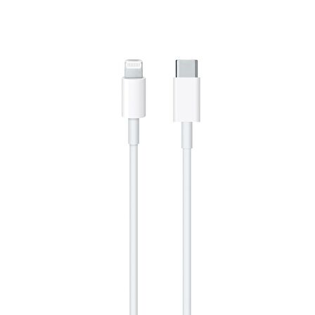 Oem TA800 Lightning - Type-C 25 Watt Hızlı Şarj Aleti Siyah