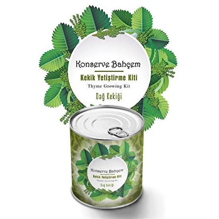 caselka® Konserve Bahçem Evde Konservede Kekik Dağ Kekiği Yetiştirme Kiti