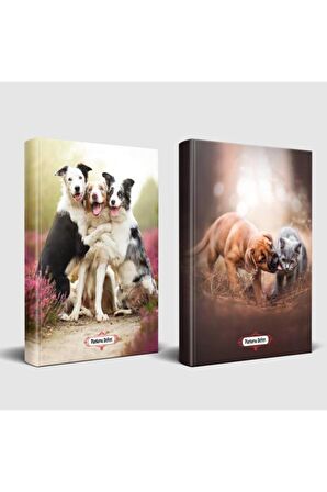 Köpek Temalı Defter Seti Can Dostlar Ve Neşeli Dostlar