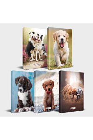 Köpek Temalı Defter Seti 5'Li V2