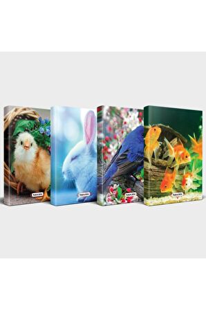 Sevimli Hayvanlar Defter Seti 4'Lü V3