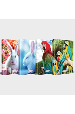 Sevimli Hayvanlar Defter Seti 4'Lü V2