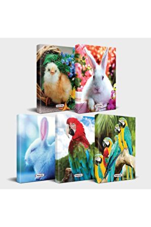 Sevimli Hayvanlar Defter Seti 5'Li V2