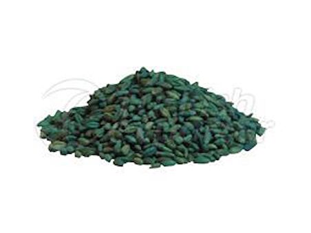 Fare Kulağı Tohumu-Dichondra Repens-500 gr