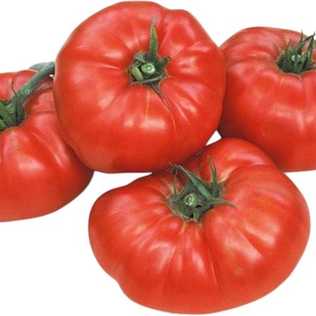 İRİ Yer Domatesi Tohumu (50 Adet)
