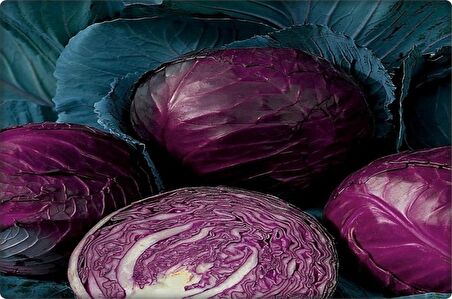 Kırmızı Lahana Tohumu (Kara Lahana) 10 Gr