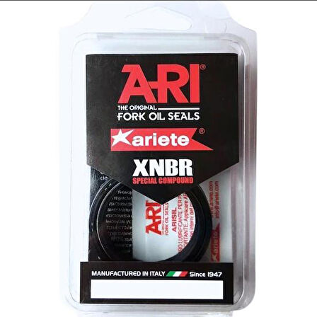 Ariete Arı.102 2022-2023 Kawasaki Z 650 RS Uyumlu Ön Amortisör Yağ Keçesi