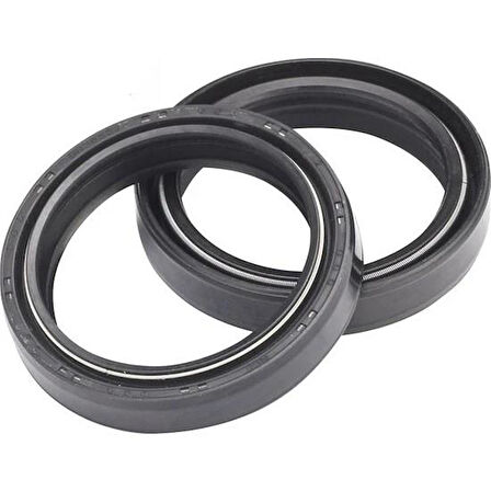 Ariete Arı.109 2006-2020 Kawasaki ZZR 1400 ABS Uyumlu Ön Amortisör Yağ Keçesi