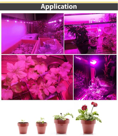 Tam Spektrum 50W 220V COB LED Chip Çanak Bitki Büyütme Fito Işık 