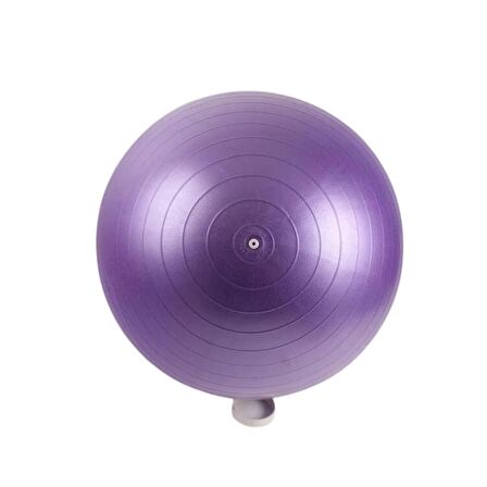 Pilates & Yoga Topu 25 cm Mor Renk