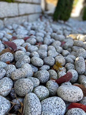 AHS Doğal Granit Gri Dolomit Taşı 5 Kg 1-3 Cm Dere Çakıl Bahçe Peyzaj Saksı Teraryum Akvaryum Taşı