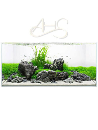 AHS 10 Kg 04-08 mm Silis Krem Renk Bitki Kumu Akvaryum Kumu 10 Kg