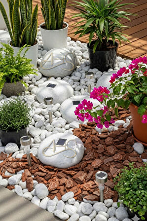 Doğal Dekoratif Çam Kabuğu 1-3 Cm 1 Litre Bahçe Peyzaj Saksı Orkide Teraryum Kaplama