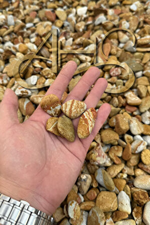 Sarı Çizgili Rainbow Dolomit Çakıl Taşı 1-3 Cm 10 Kg Dekoratif Bahçe Peyzaj Saksı Akvaryum Teraryum 