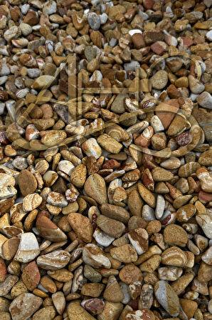 Sarı Çizgili Rainbow Dolomit Çakıl Taşı 1-3 Cm 5 Kg Dekoratif Bahçe Peyzaj Saksı Akvaryum Teraryum 