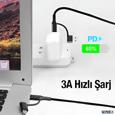 Winex 100W 4in1 Type-C - USB - Lightning - Type-C Çıkışlı Hızlı Data ve Şarj Kablosu Siyah