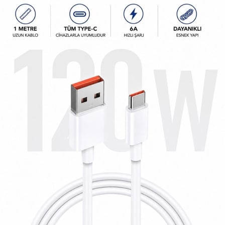 SChitec 38W 2 Çıkışlı Hızlı Şarj Başlığı ve 120W UsbA to Type-C Hızlı ve Şarj Kablosu Beyaz HEDİYE