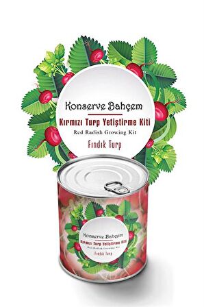 BUFFER® Konserve Bahçem Evde Konservede Fındık Turp Yetiştirme Kiti