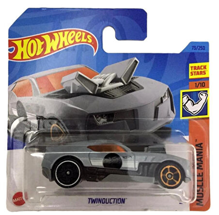 Hot Wheels Tekli Arabalar Twinduction HKK88