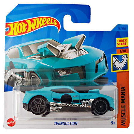 Hot Wheels Tekli Arabalar TWINDUCTION HKH22