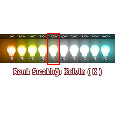 Sentinel 12V 55W H7 Halojen Beyaz Işık Ampul 5000K 1450 Lumen