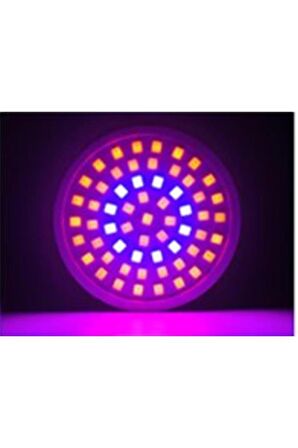 Tam Spektrum Bitki Büyütme 60 Led Lamba E27 Duy 220V Kapalı Mekan