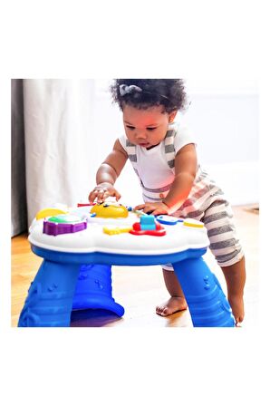 Baby Einstein Discovering Music Eğitici Aktivite M