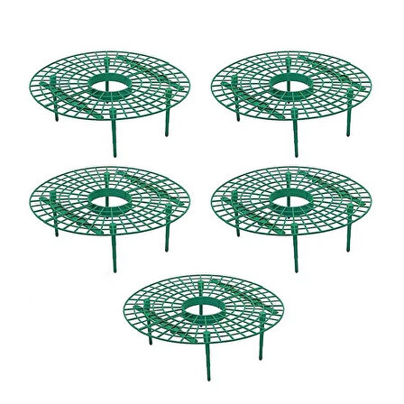 YATE10 5 Adet Plastik Çilek Geliştirme Standı