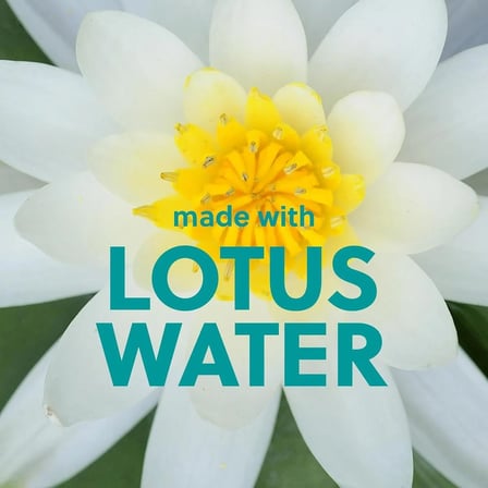 Tree Hut Lotus Water Whipped Shea Vücut Yağı 240GR