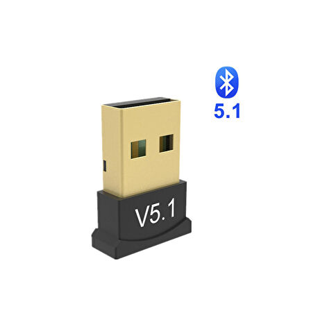 Bluetooth 5.1 usb 2.0 kablosuz ses aktarım adaptörü