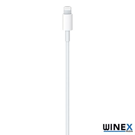 Winex 5A 100W 2Metre Type-C to Lightning Şarj Kablosu Beyaz