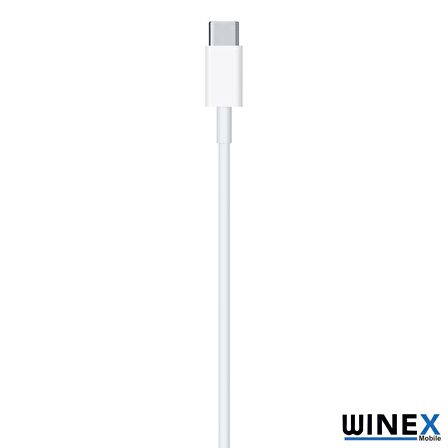 Winex 5A 100W 2Metre Type-C to Lightning Şarj Kablosu Beyaz