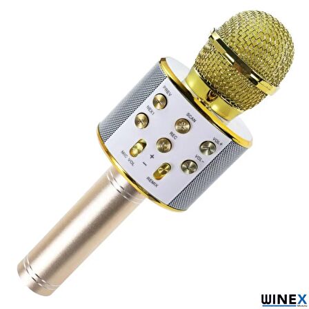 Winex UsbA+TF Sd Kart+3.5mm Aux Girişli Bluetooth Karaoke Mikrofonu Gold