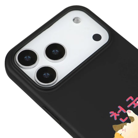 iPhone 17 Pro Siyah Cat Sleeping Kamera Korumalı Premium Lansman Renkli Silikon Kılıfı